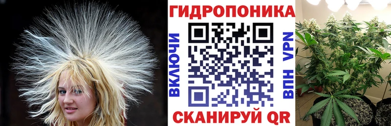 Бошки марихуана гибрид  Купить закладки  Каменск-Шахтинский 